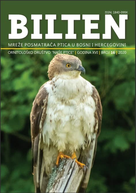 Bilten 16